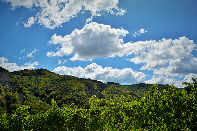DSC_0334-2.jpg
