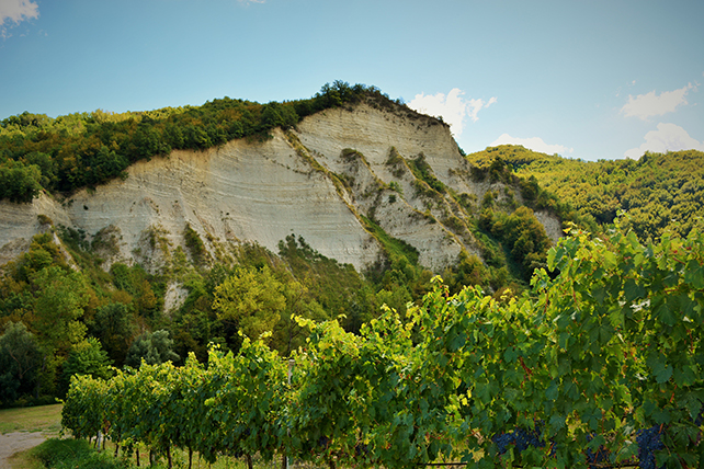 DSC_0336-2.jpg