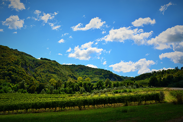 DSC_0377-2.jpg